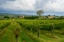 Poliziano Winery - Montepulciano, Italy